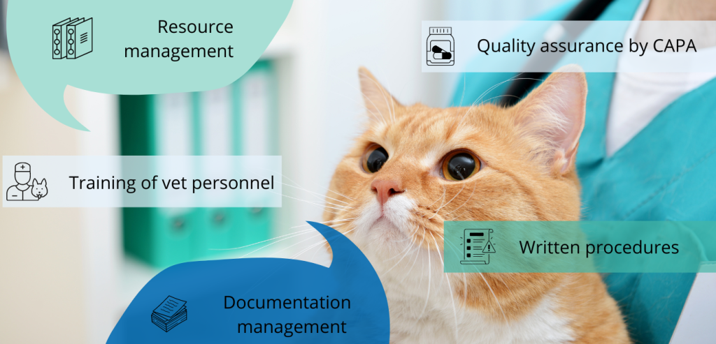 A vet is holding a cat and thinks about Resource management, quality assurance, training of vet personal and pharmacovigilance of veterinary medicinal products on general