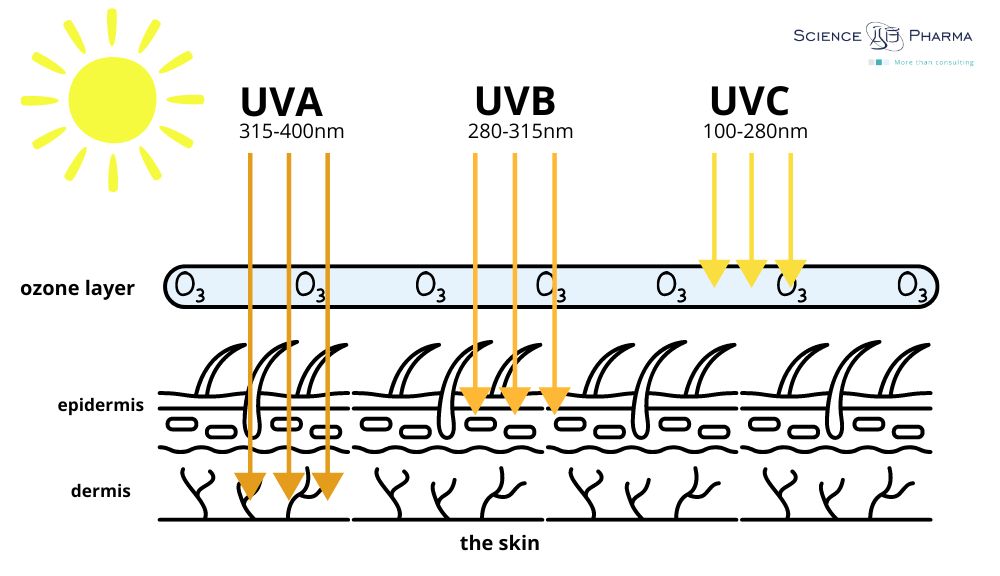 Diagram showing the penetration of UVA, UVB, and UVC rays into different layers of the skin