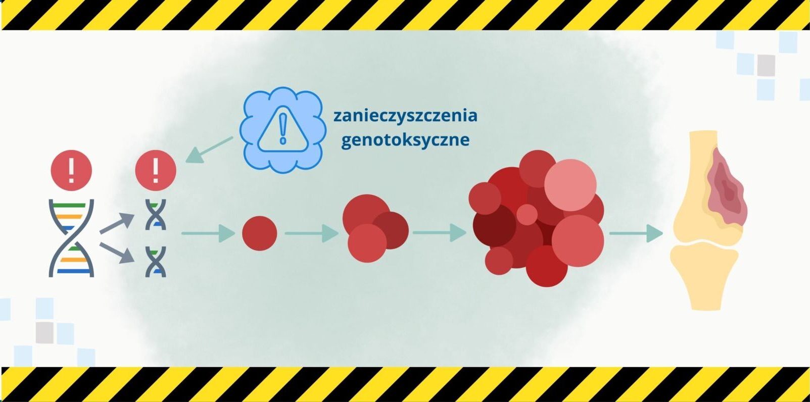 zanieczyszczenia genotoksyczne