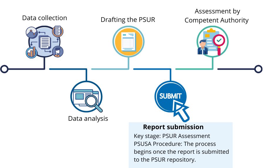 Flowchart illustrating the key stages of the PSUR preparation process, with emphasis on the PSUSA assessment stage. This stage ensures a harmonized and comprehensive safety evaluation of medicinal products, including those with the same active substances but different marketing authorizations across EU Member States. The PSUSA procedure is essential for strengthening the benefit-risk review and ensuring ongoing pharmacovigilance throughout the product's lifecycle.